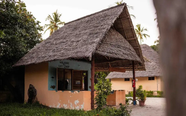 Afro Beach Safari
