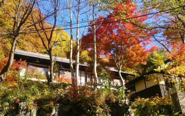 Teruhaso