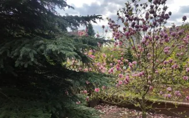 Apartament Magnolia
