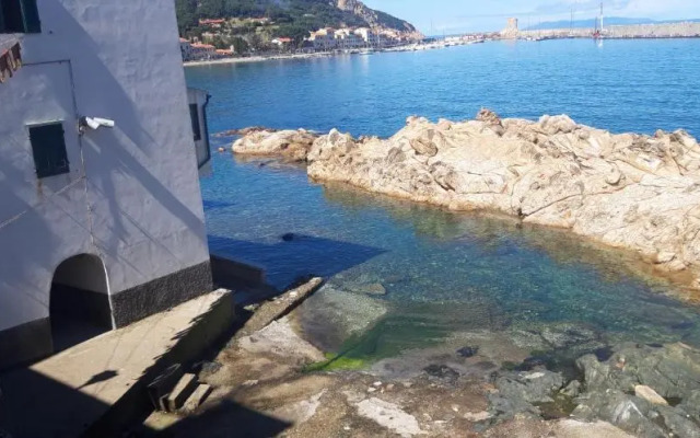 Cotone bilocale 2019