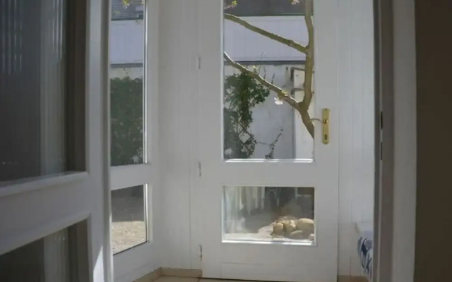 "beach Bunny" in the House on the Dune