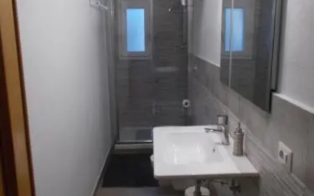 Il Vecchio Cipresso