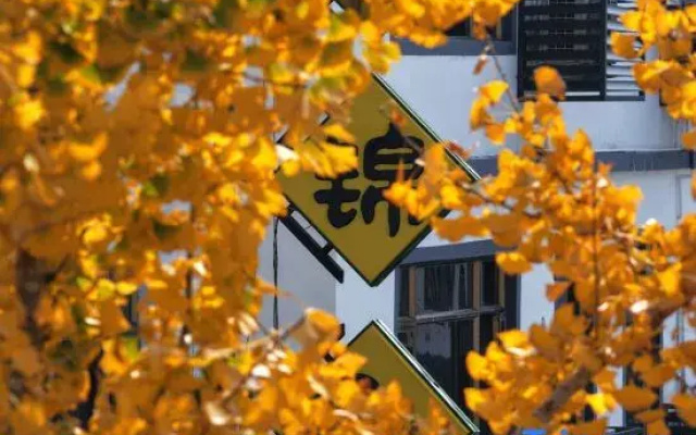 Danxiashan Yaotang Jinse Homestay