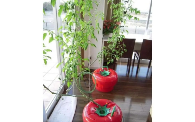 Wind City Hotel - Vacation STAY 81478
