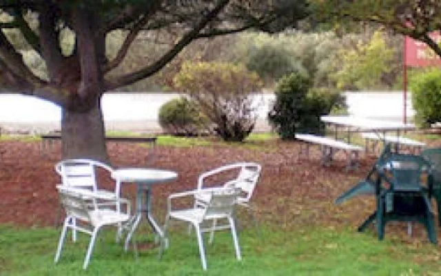 Auburn Shiraz Motel