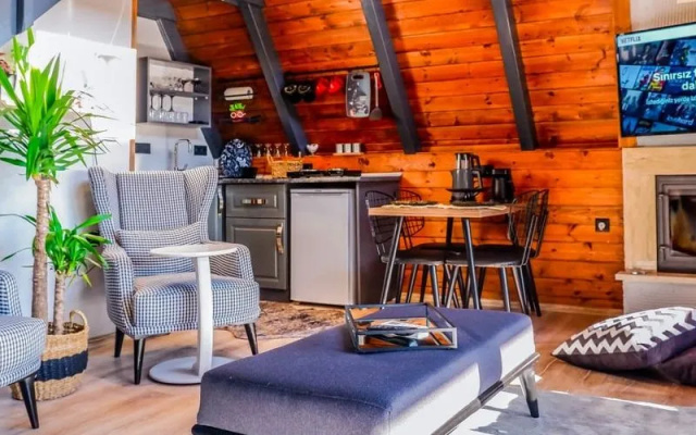 Sapanca Ugurlu Bungalov 1