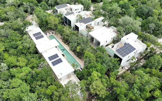 BT Homes - Wellness Jungle