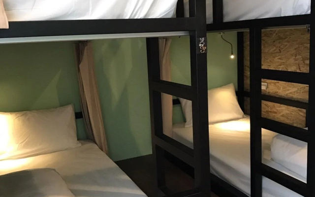 Tourist Bunny - Hostel