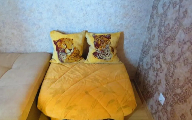 Apartment on Prokopheva st.