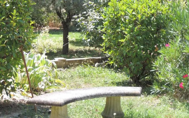 Gîte Platane