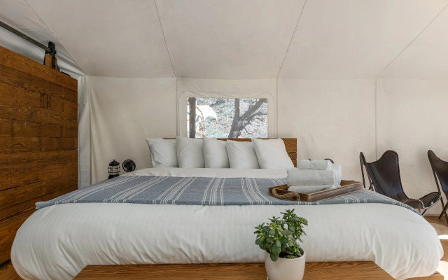 Under Canvas Zion