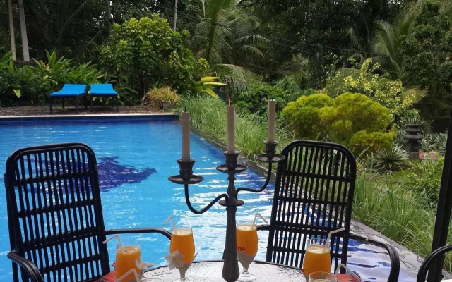 Lazy Lizard Hotel