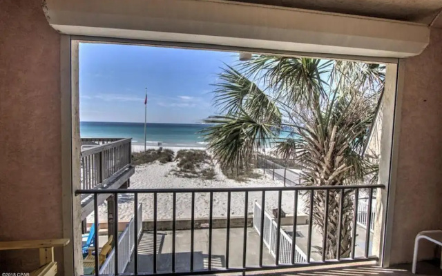 Sunbird Paradise - 1383972