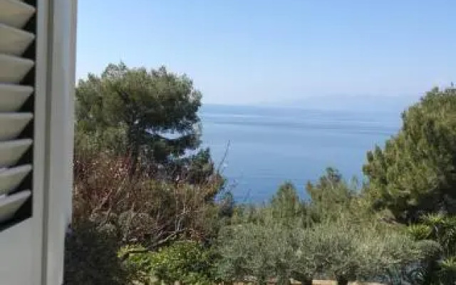 zia yaya