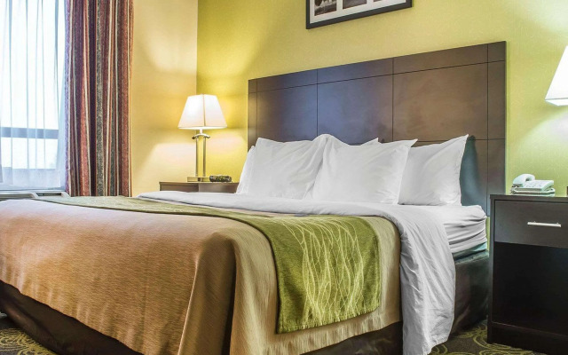 Comfort Hotel & Suites