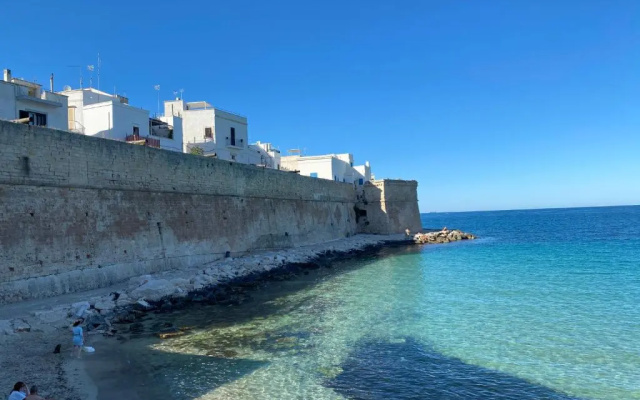 Amaremonopoli