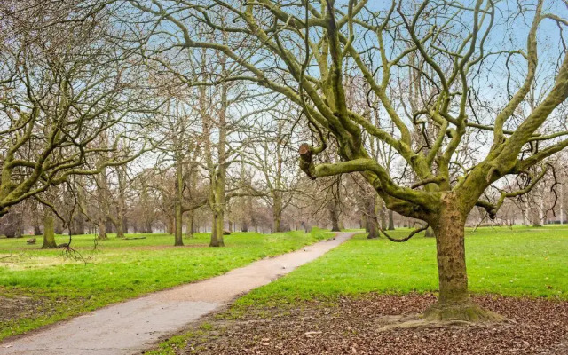 Apollo Hotel London – Near Hyde Park & Paddington Station