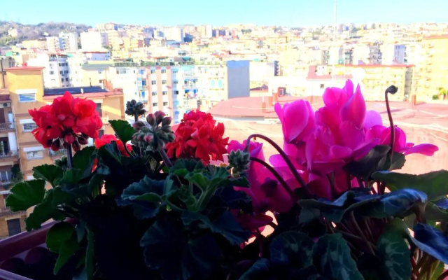 Suite Delicia Apartment - Appartamento con Terrazza