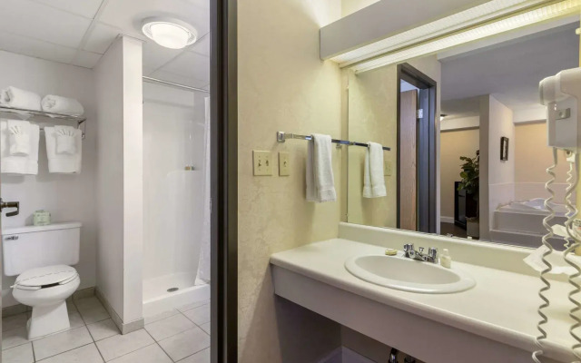Black Bear Inn, an Ascend Collection Hotel
