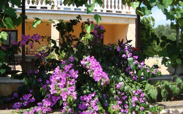 Apartments Alice Green Oasis -