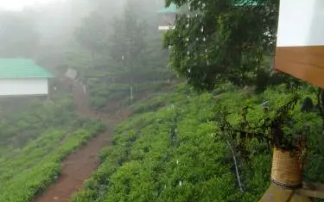 Vythirihills Nature Resort