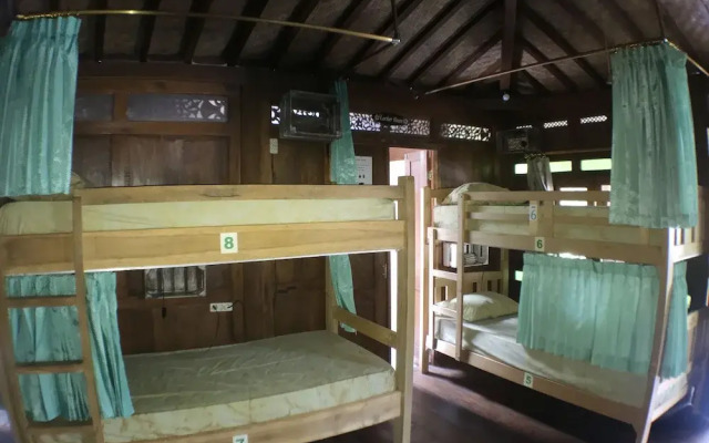 Green Paddy Hostel & Villa