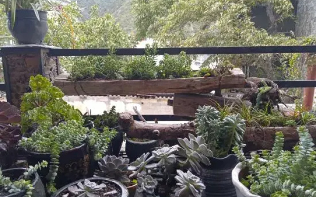 Dechenz Middle Homestay