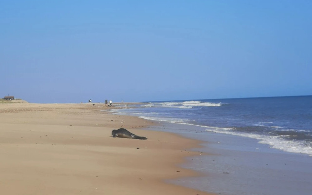 Sea Breeze Holiday Chalet, Convenient for Beach