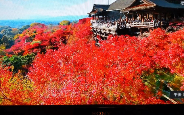 京の宿 西大路 familie