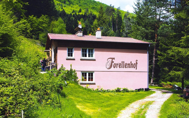 Apartment in Alsace With Nature Retreat