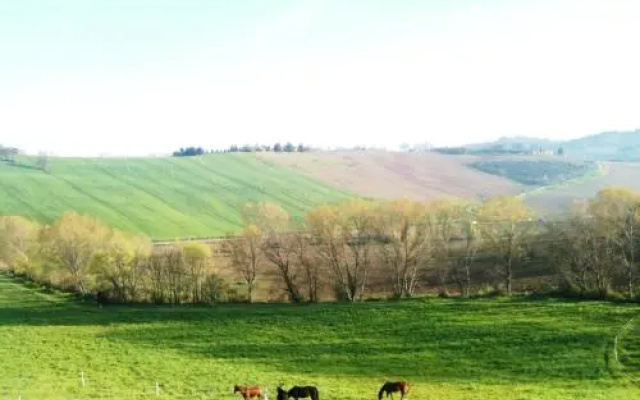 Agriturismo Casale il Gallo Bianco