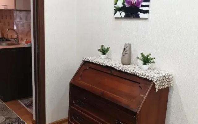Alin Apartament