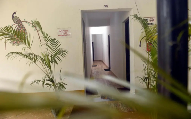 Seagull Tourist Guest House