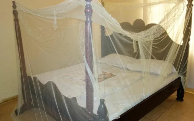 Yahoo Guest House