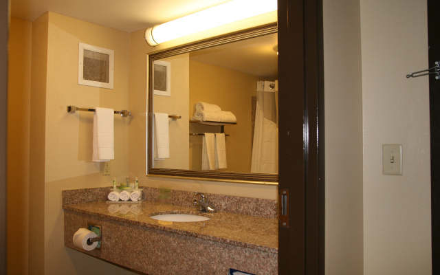 Holiday Inn Express Hotel & Suites Greenville