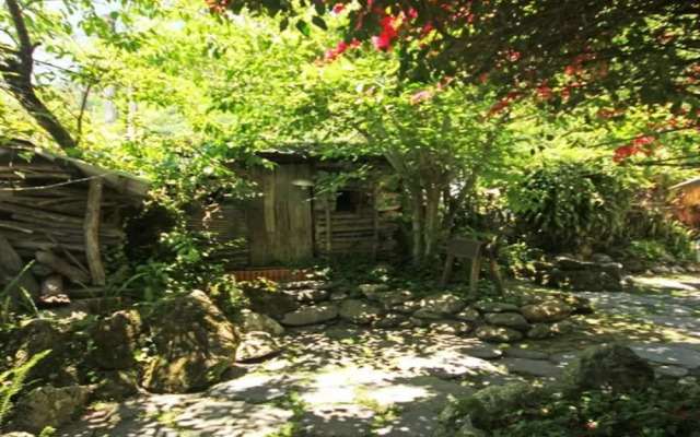 Home of the Fireflies