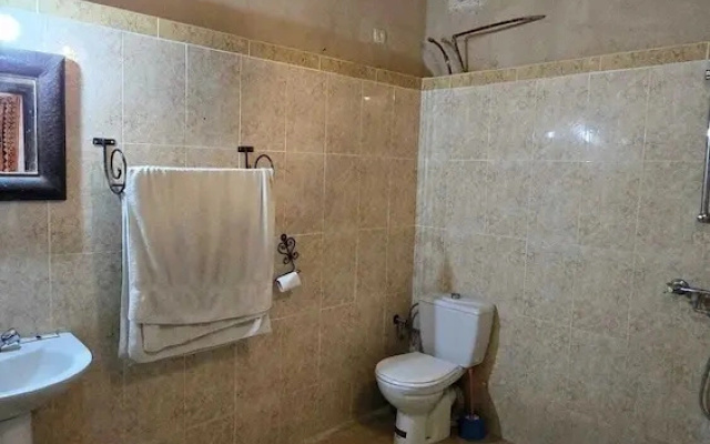 Dar Tamzdamte Skoura