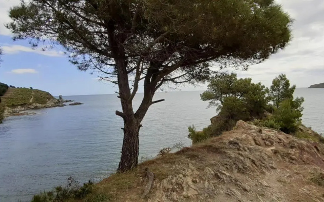 CAP d OSNE - BANYULS SUR MER - 2MN PLAGE