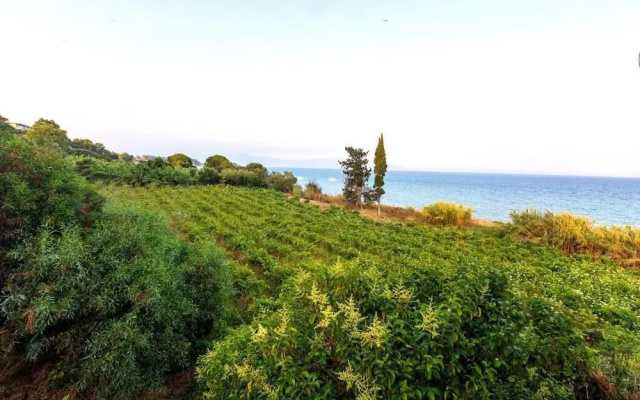 Seaheaven House B4 - Beachfront Nest Memi Koroni