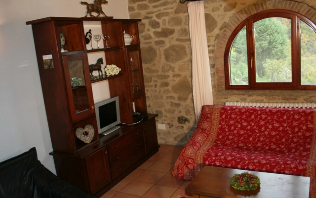 Cosy apartment in the well known Chianti area, with swimming pool and terrace.