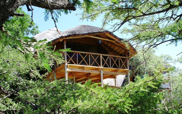 Marcs Treehouse Lodge