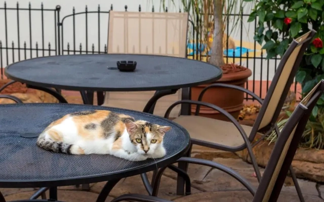 Richard's Pet Friendly Motel