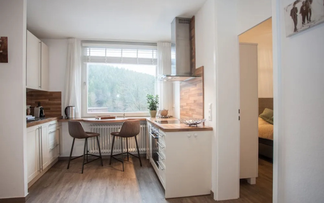 Fantastic Apartment in Winterberg with Sauna