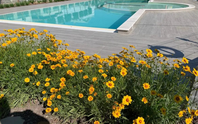 Homingarda - fine holiday apartments