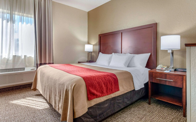 Comfort Inn Fremont