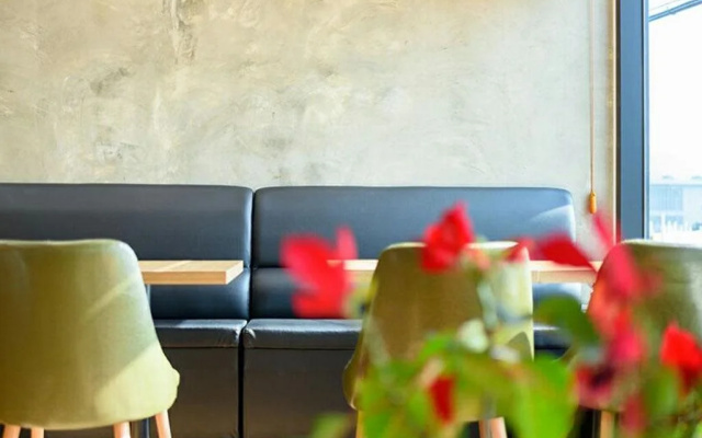 Paulownia Hostel & Guest House
