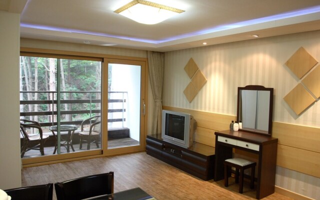 Pyeongchang Eastern Ville Pension