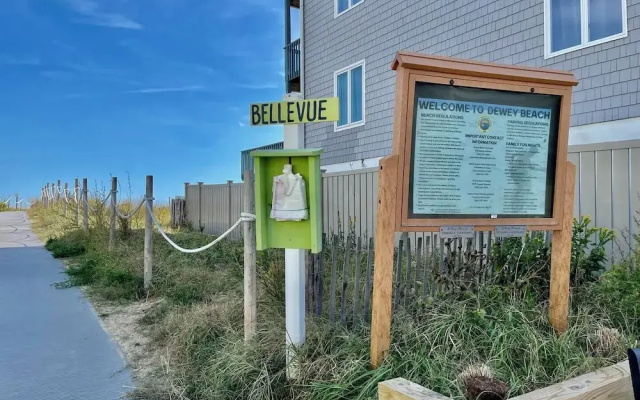 Bellevue Street 4 #6