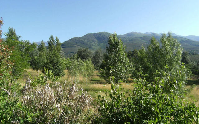 Casa Rural Chozos de Tejea