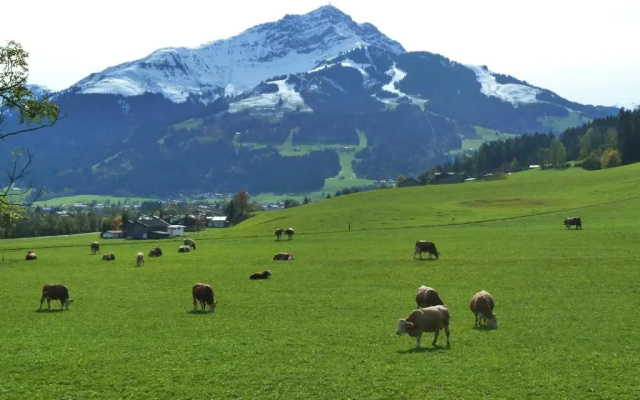 Ferienwohnungen Schneider